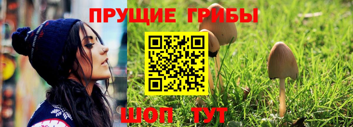 Псилоцибиновые грибы мухоморы Каменск-Шахтинский