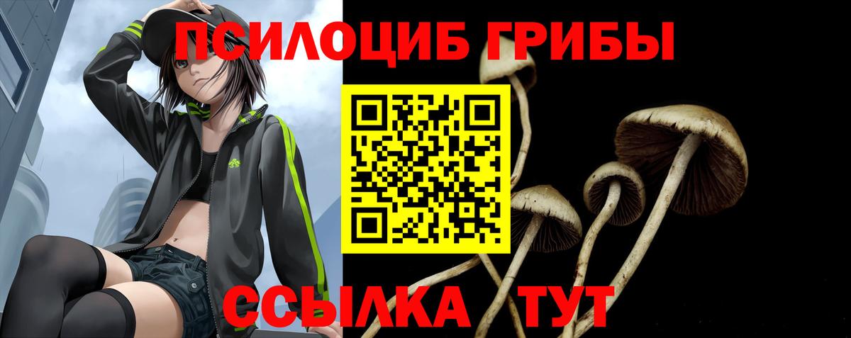 Каменск-Шахтинский  Галлюциногенные грибы ЛСД  Вход с VPN  Псилоцибиновые грибы ЛСД 